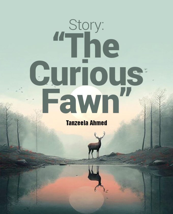 the curious fawn